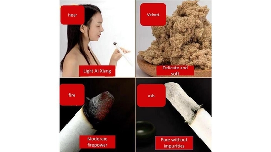 Rivitalizzare con Ai Tiao Moxibustion sticks medica cinese promuovono la circolazione sanguigna